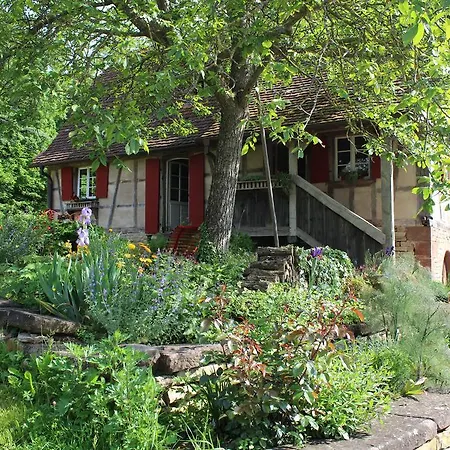 Rouge Eglantine Salenthal